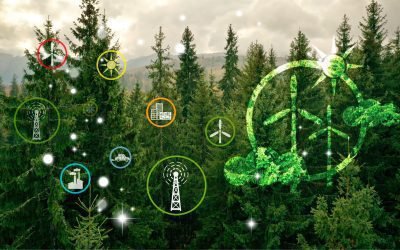 5 Innovations en Formation Industrielle pour l&rsquo;Avenir de la Guyane